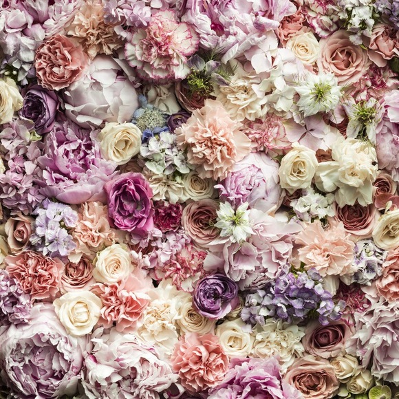 Meet your Posher - Picture 1 of 1